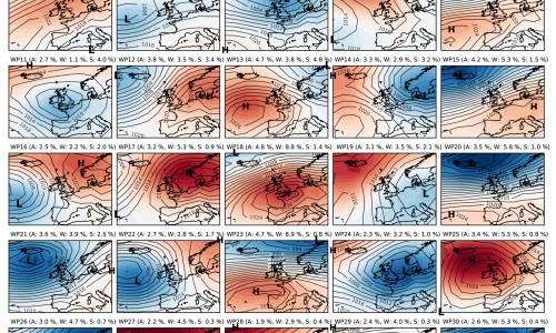 猫猫眼的功效与作用-猫眼草药有什么功效-猫猫眼的功效与作用,中国猫猫眼的功效网站