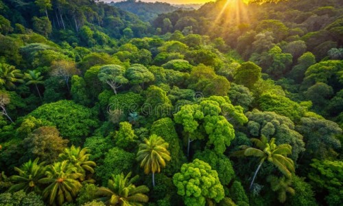猫猫眼的功效与作用-猫眼草药有什么功效-猫猫眼的功效与作用,中国猫猫眼的功效网站